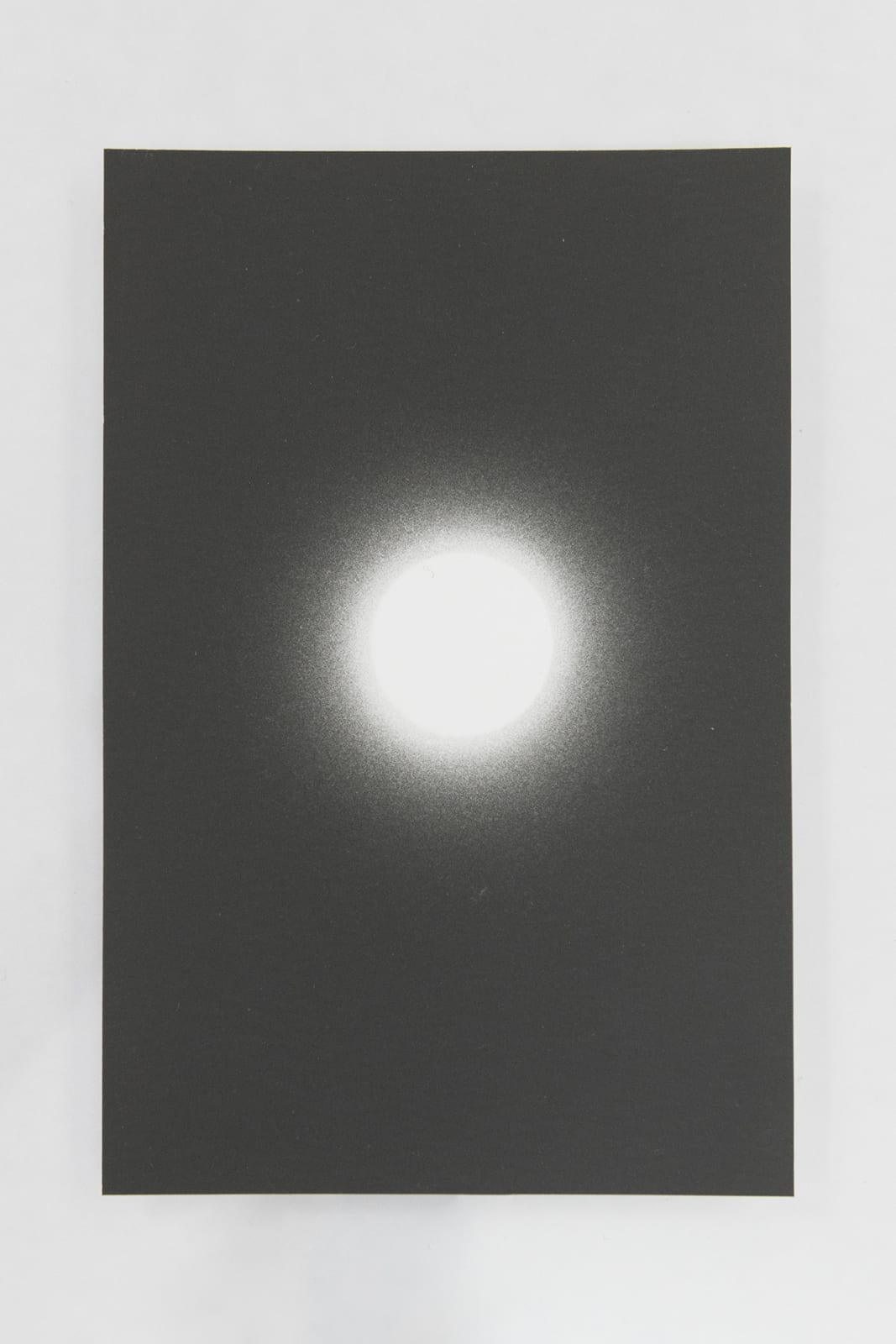 Jochen Lempert, Visible Light II (vitrine), 2021