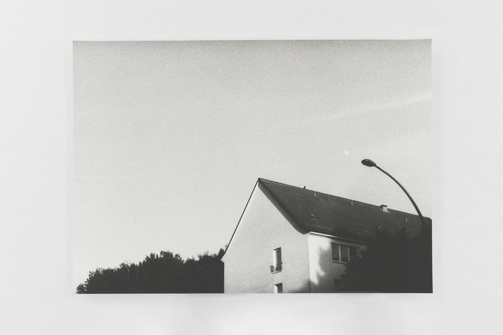 Jochen Lempert, Visible Light II (vitrine), 2021