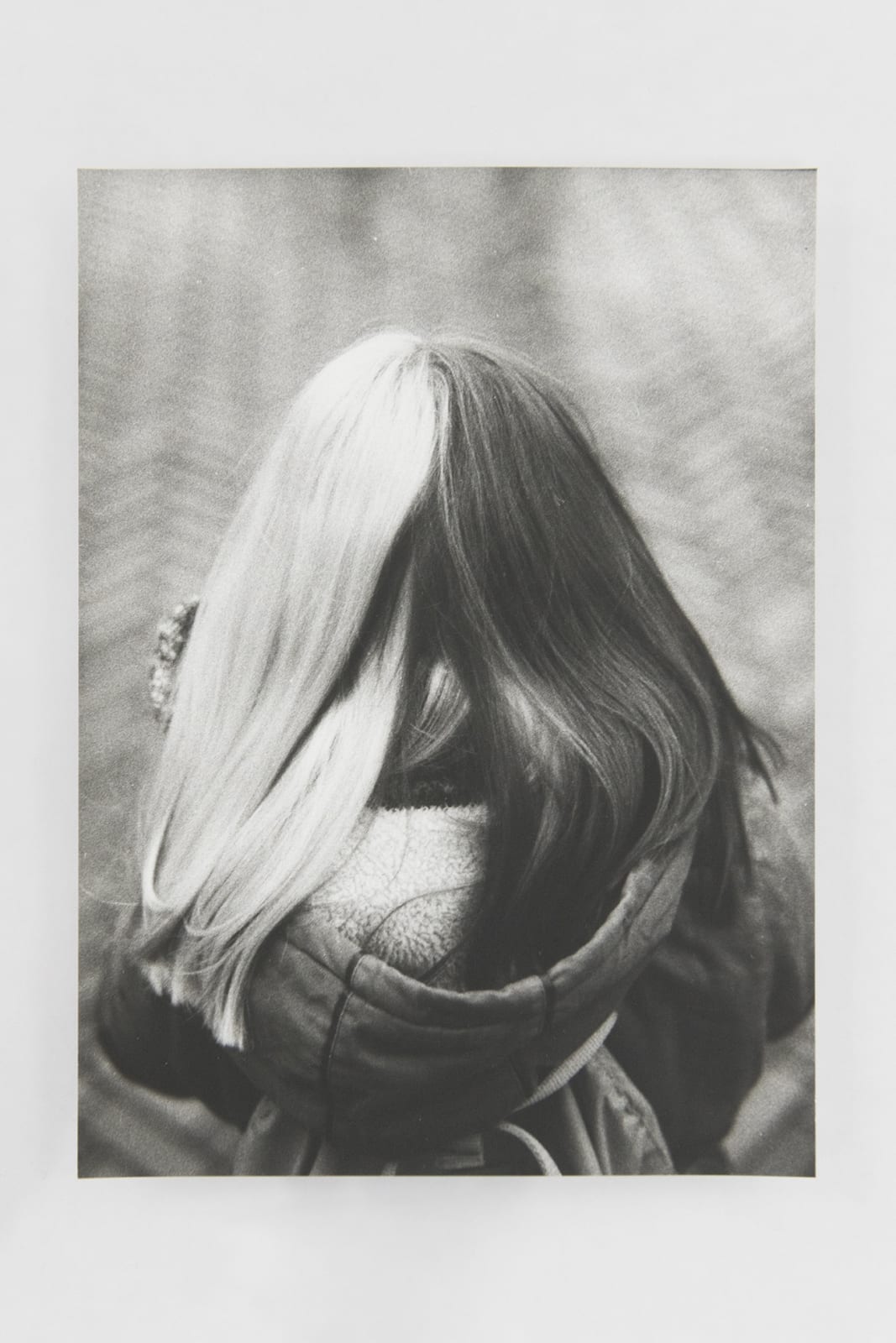 Jochen Lempert, Visible Light II (vitrine), 2021