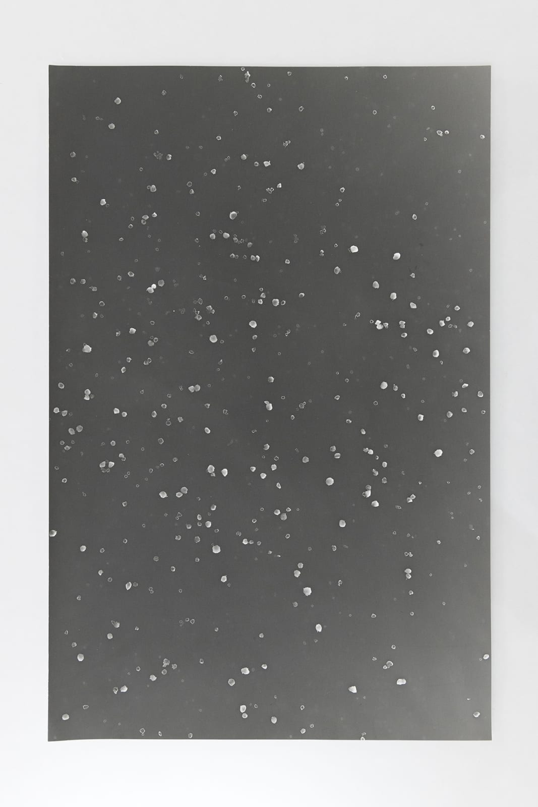 Jochen Lempert, Visible Light II (vitrine), 2021