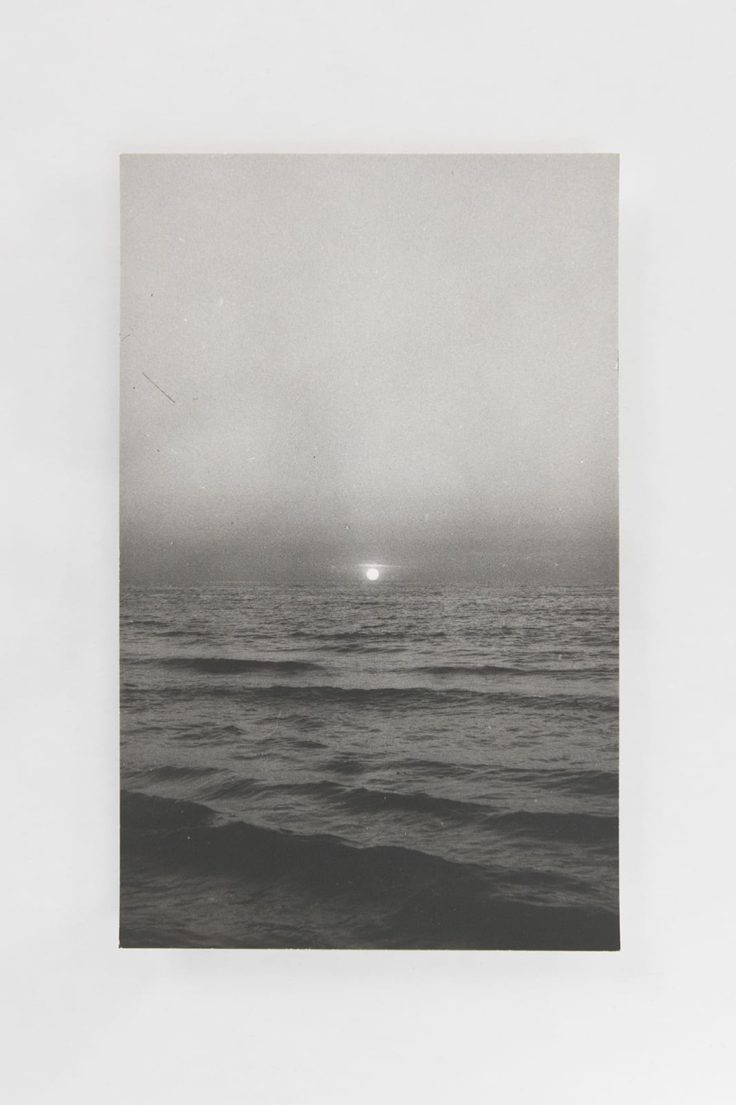 Jochen Lempert, Visible Light II (vitrine), 2021