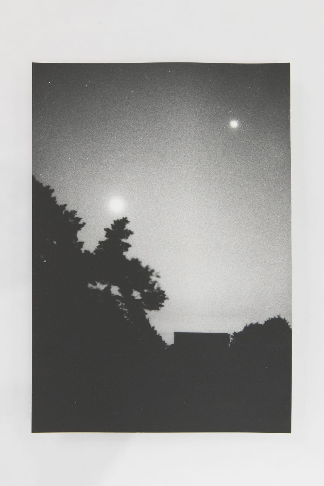 Jochen Lempert, Visible Light II (vitrine), 2021