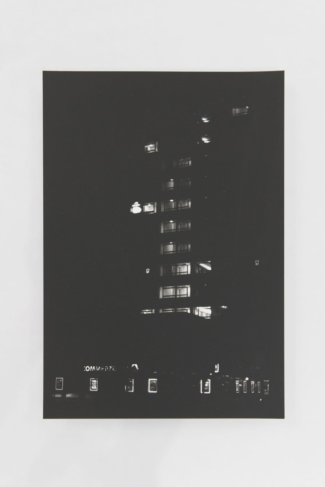 Jochen Lempert, Visible Light II (vitrine), 2021