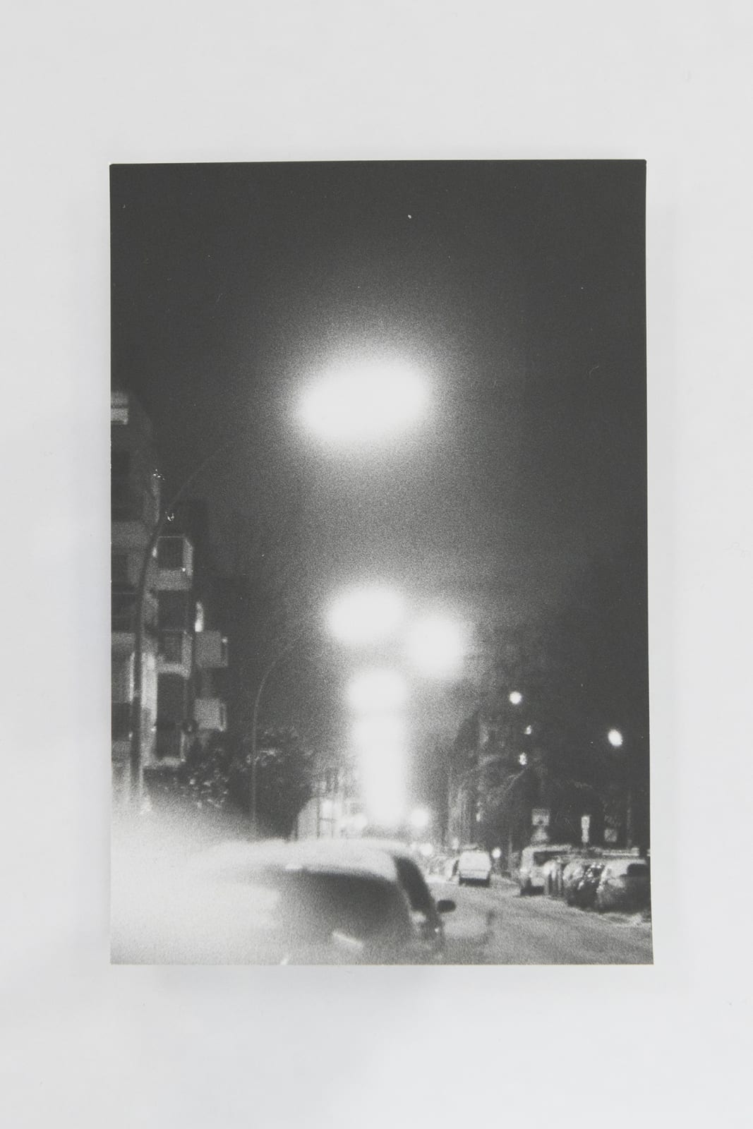 Jochen Lempert, Visible Light II (vitrine), 2021