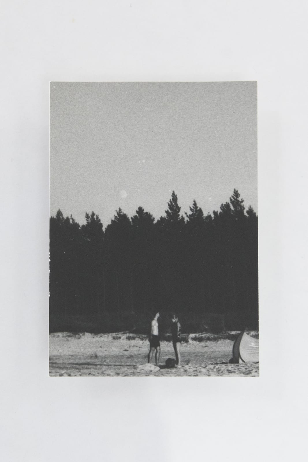 Jochen Lempert, Visible Light II (vitrine), 2021