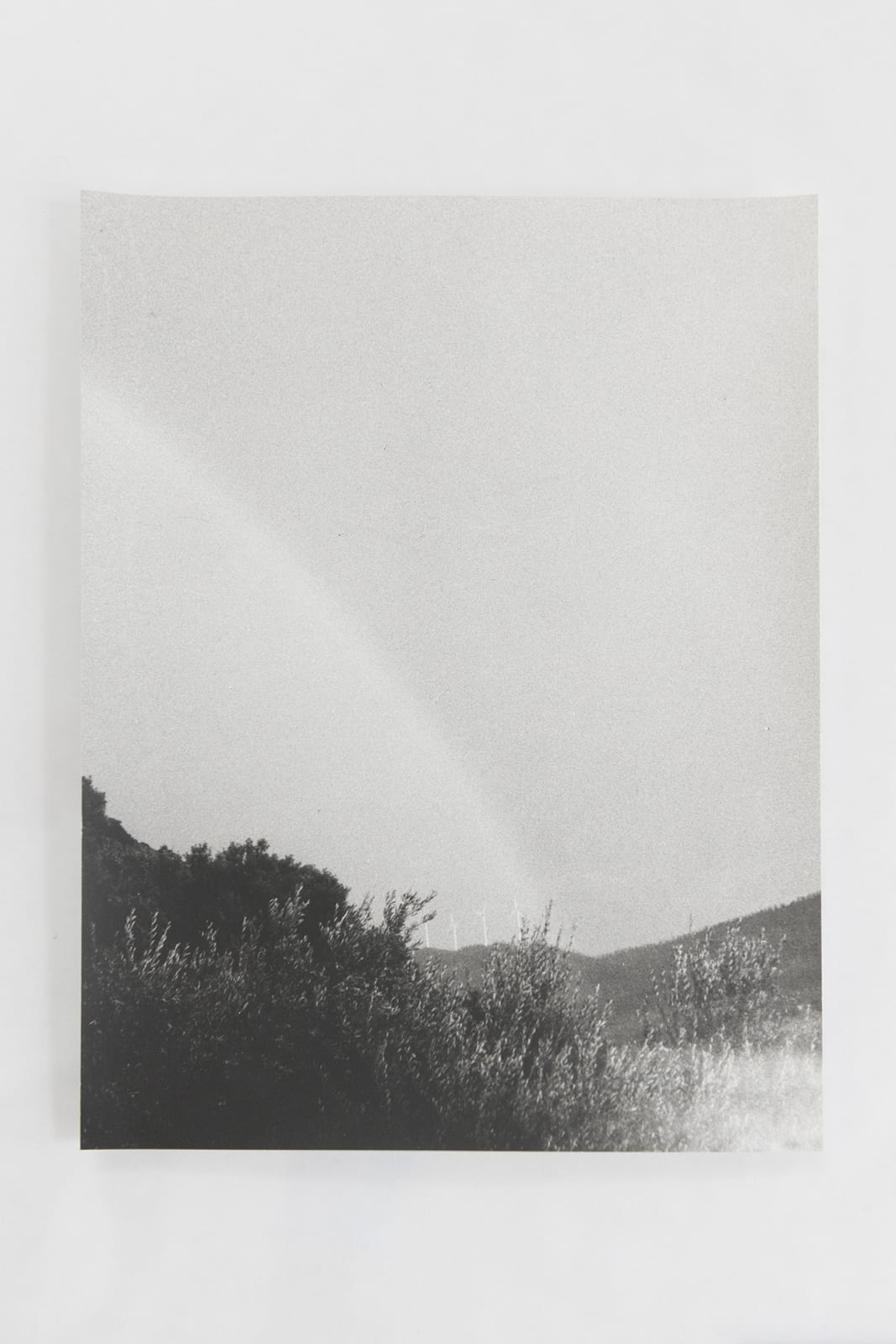 Jochen Lempert, Visible Light (vitrine), 2021