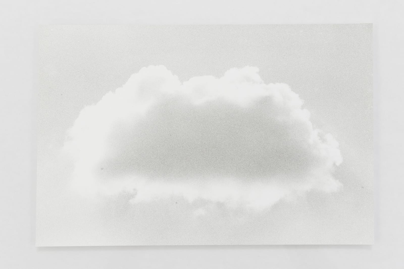 Jochen Lempert, Visible Light (vitrine), 2021