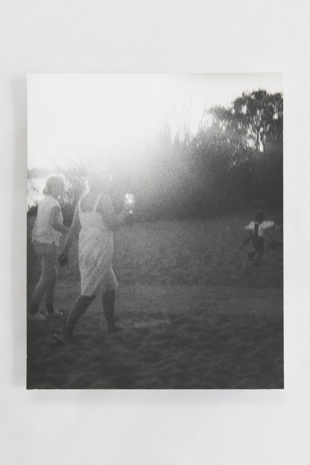 Jochen Lempert, Visible Light (vitrine), 2021