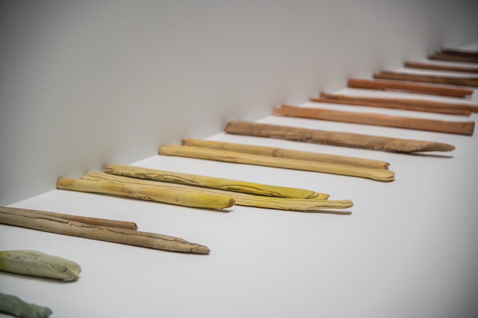 Patricia Dauder, Weather Sticks, 2018