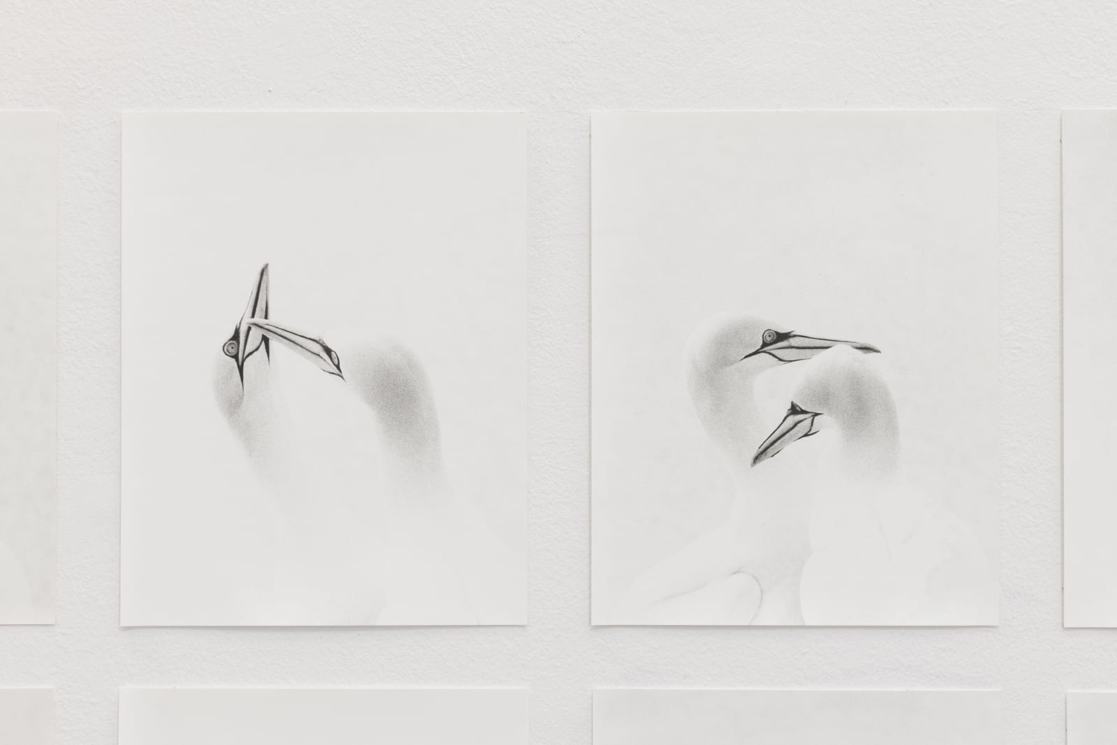 Jochen Lempert, Bills, 2020