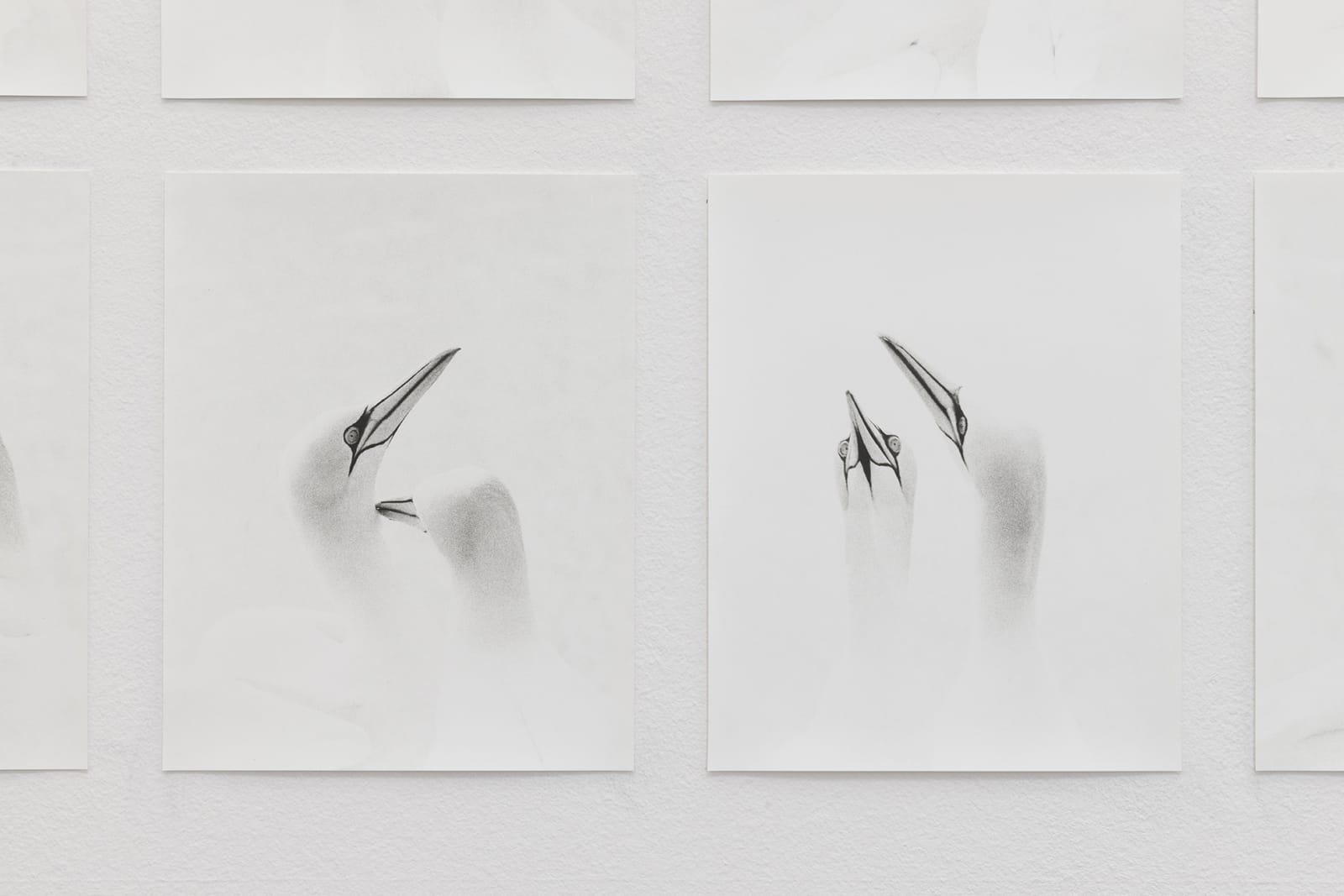 Jochen Lempert, Bills, 2020