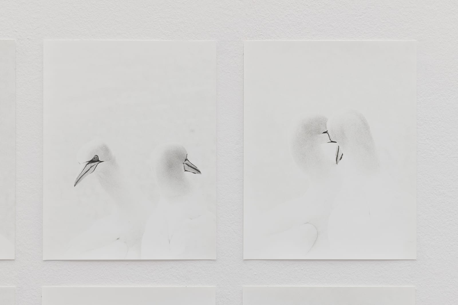 Jochen Lempert, Bills, 2020