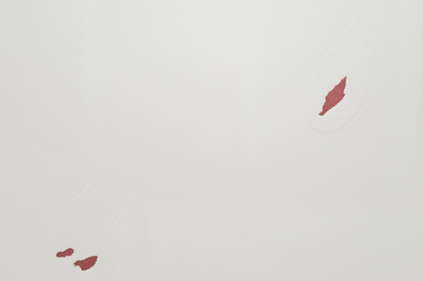 asier mendizabal, Woodcut (Modest Imperative), 2013