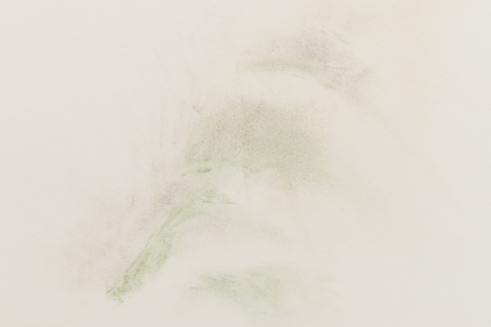 Patricia Dauder, Pliegues, 2023