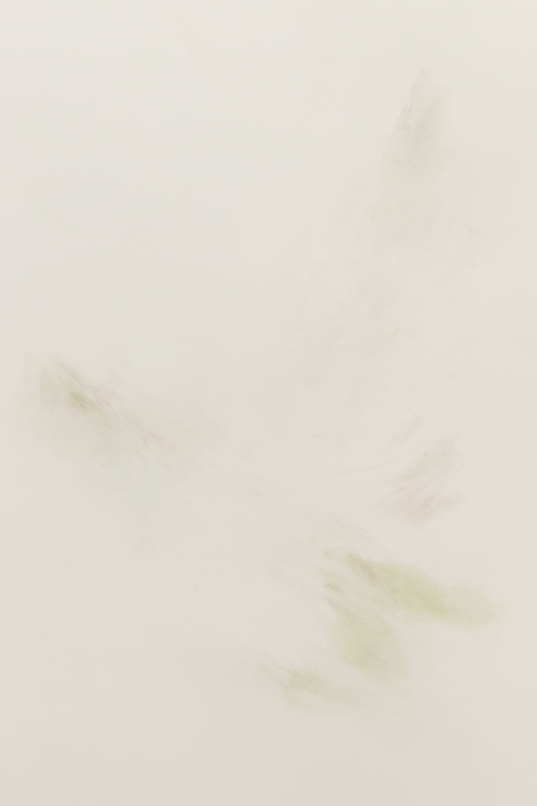 Patricia Dauder, Pliegues, 2023