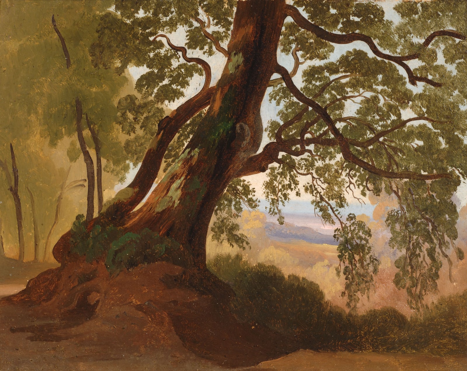 JOHANN JAKOB FREY , Paesaggio con grande albero, 1840 c.