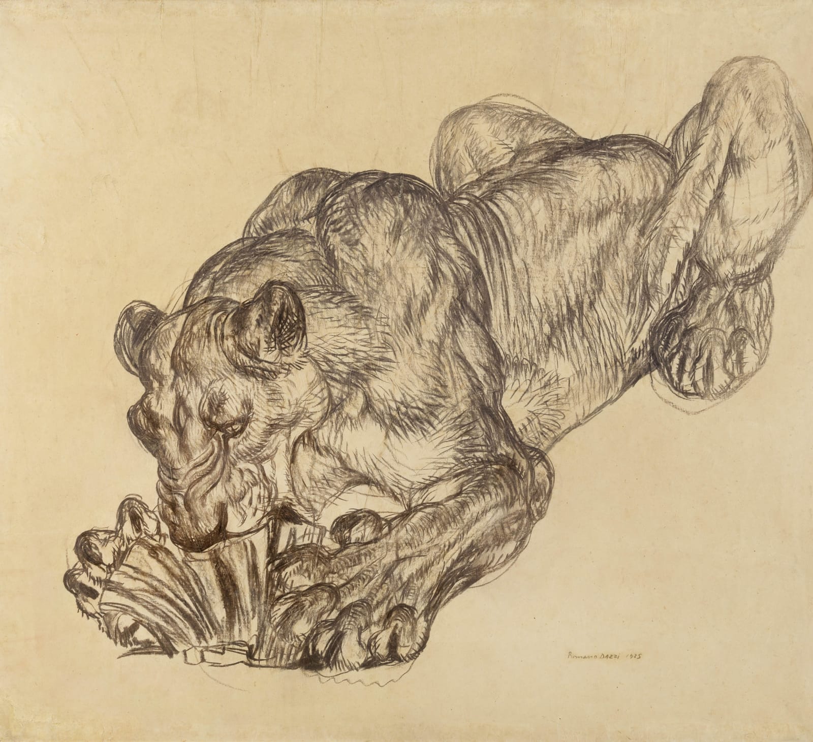 ROMANO DAZZI, Lionesses, 1935