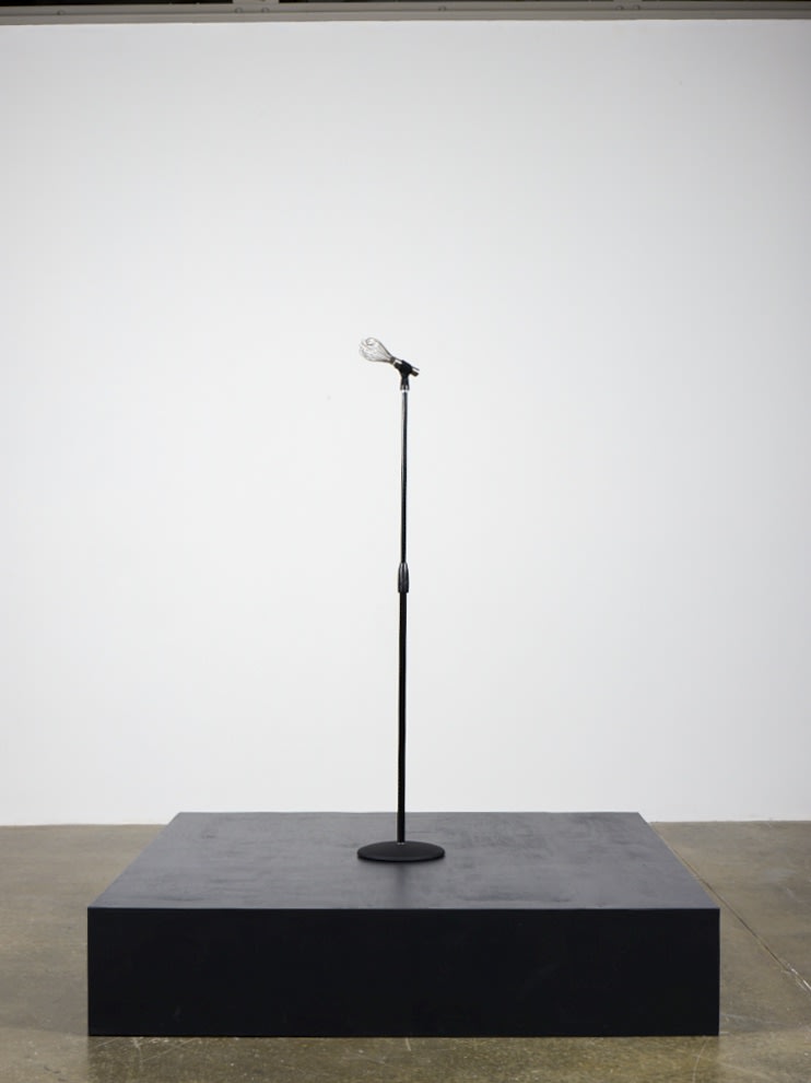 Sara Greenberger Rafferty, Testing I (Whisk), 2009