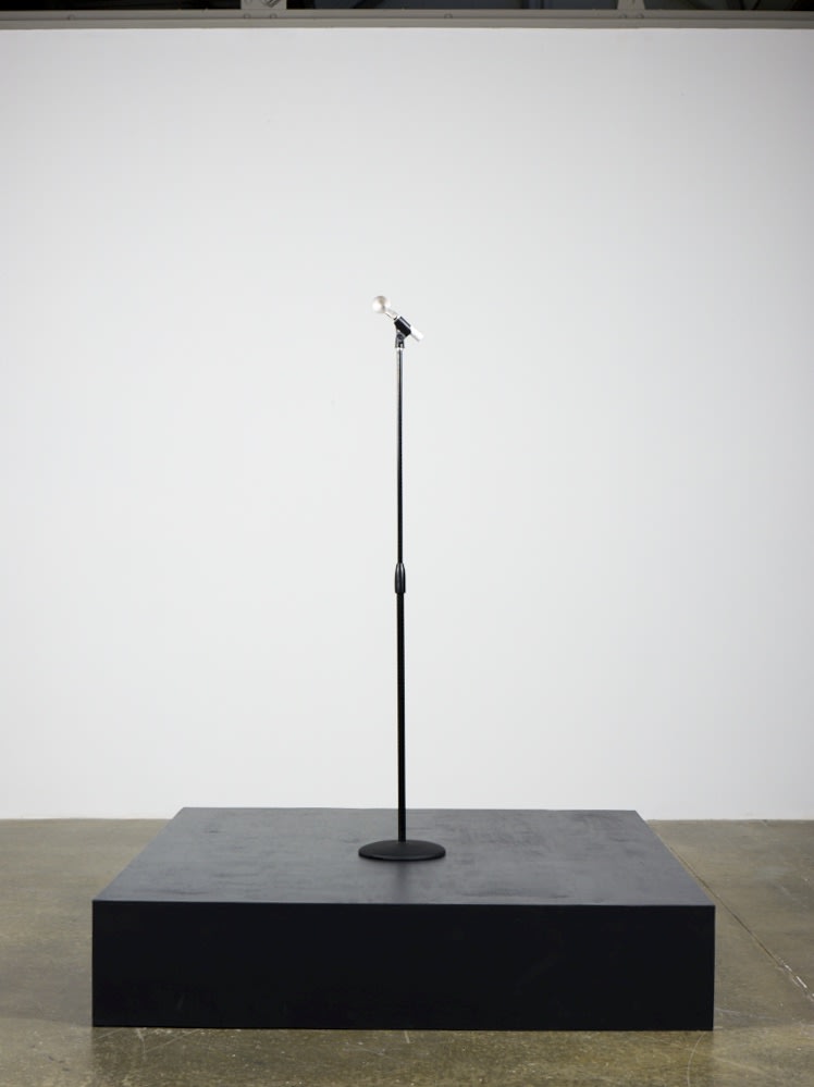 Sara Greenberger Rafferty, Testing V (Scoop), 2009