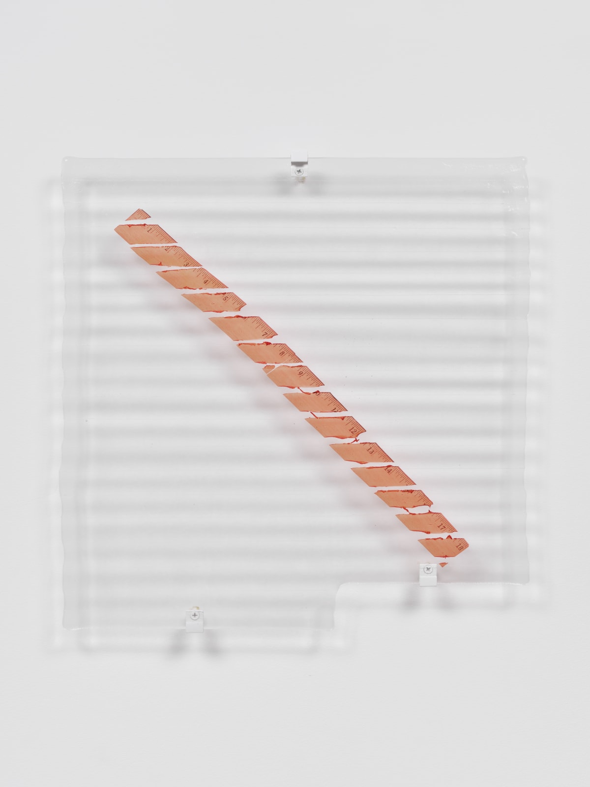 Ruler Study Clear VI, 2022