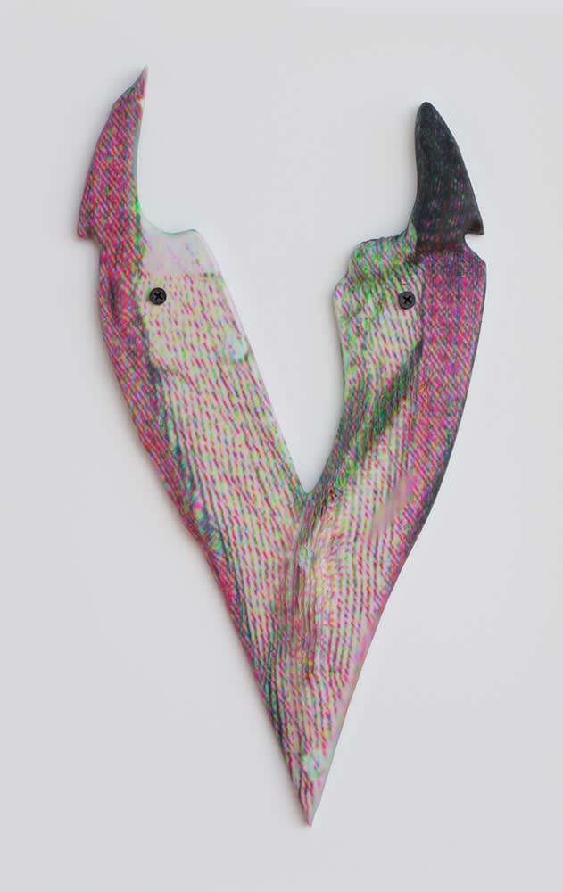 Sara Greenberger Rafferty, Untitled, 2014