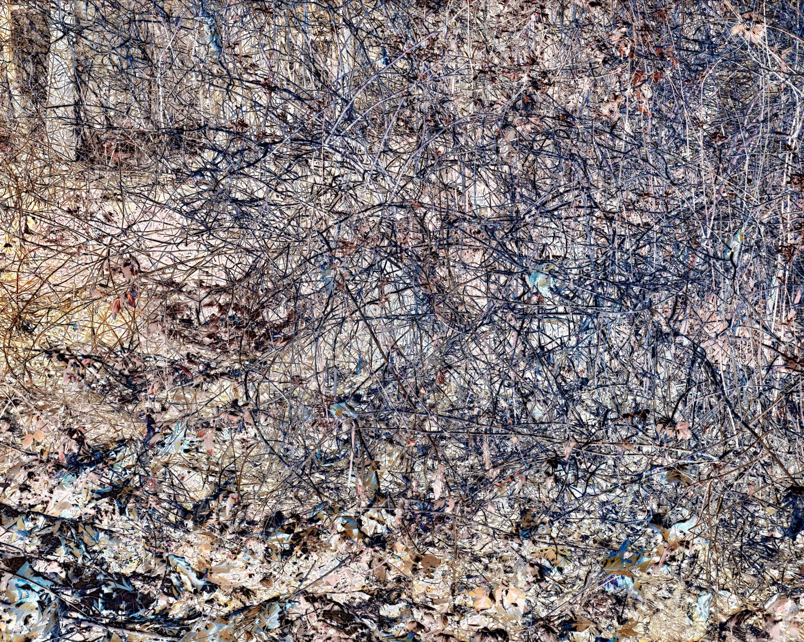 Michael Wesik, Salmonberry Thicket, Composition No. 02, 2022