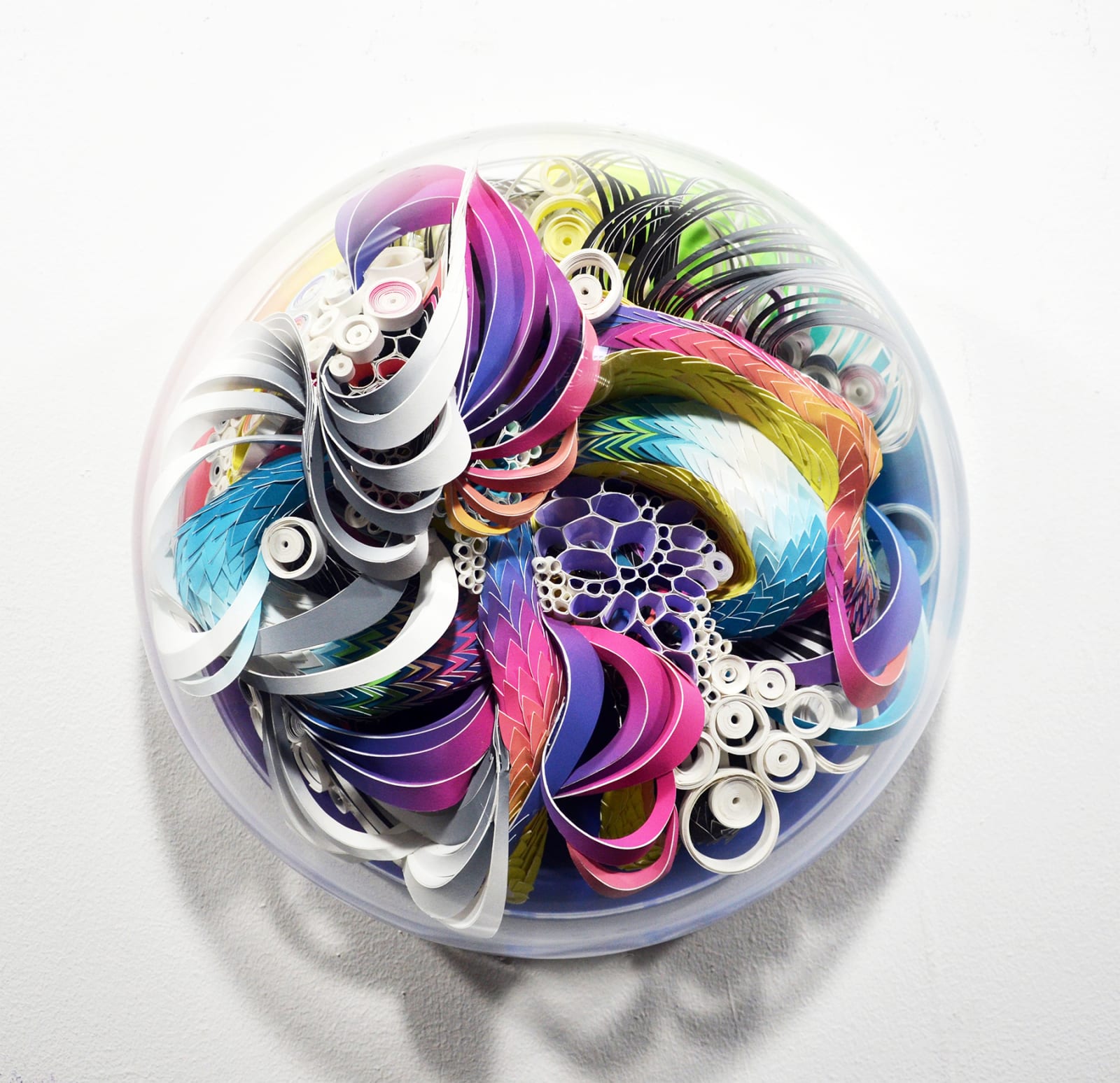 Crystal Wagner, Microbloom, 2021