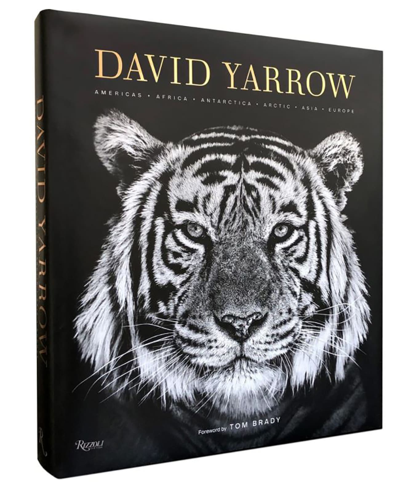 Rizzoli Catalog Collection In September 2019, Rizzoli published their second book by David Yarrow as Rizzoli's flagship book, with a forward written by global NFL star Tom Brady and an afterword written by American cultural icon Cindy Crawford. All royalties from this book will be donated to conservation charities Tusk, in the UK and WildAid, in the US.