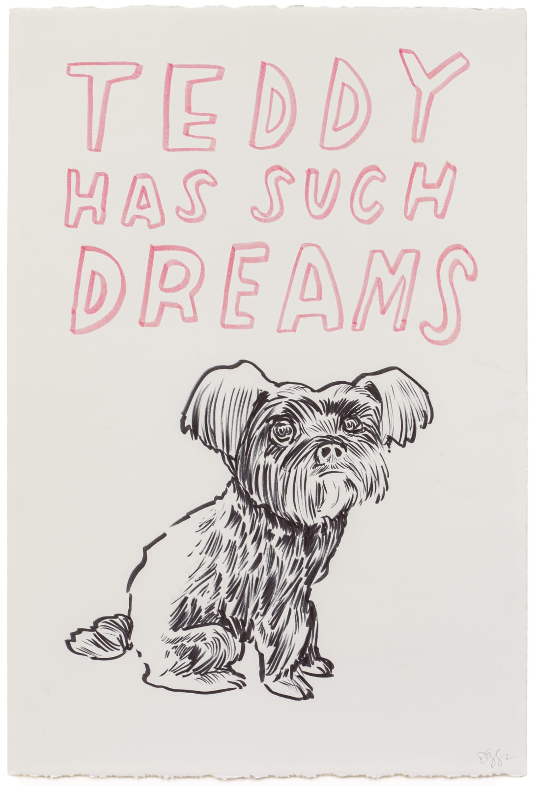 Dave Eggers, Teddy Has Such Dreams, 2020