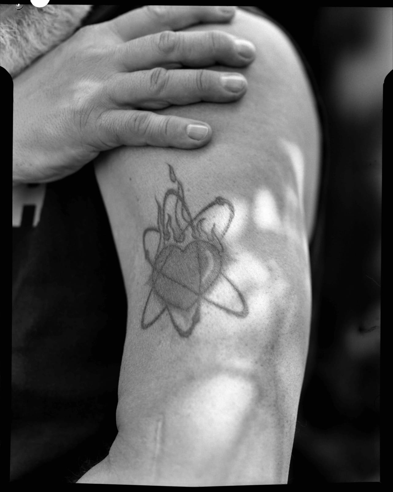 Ian Lewandowski, Tim's Tattoo, Little Island, Manhattan, 2021