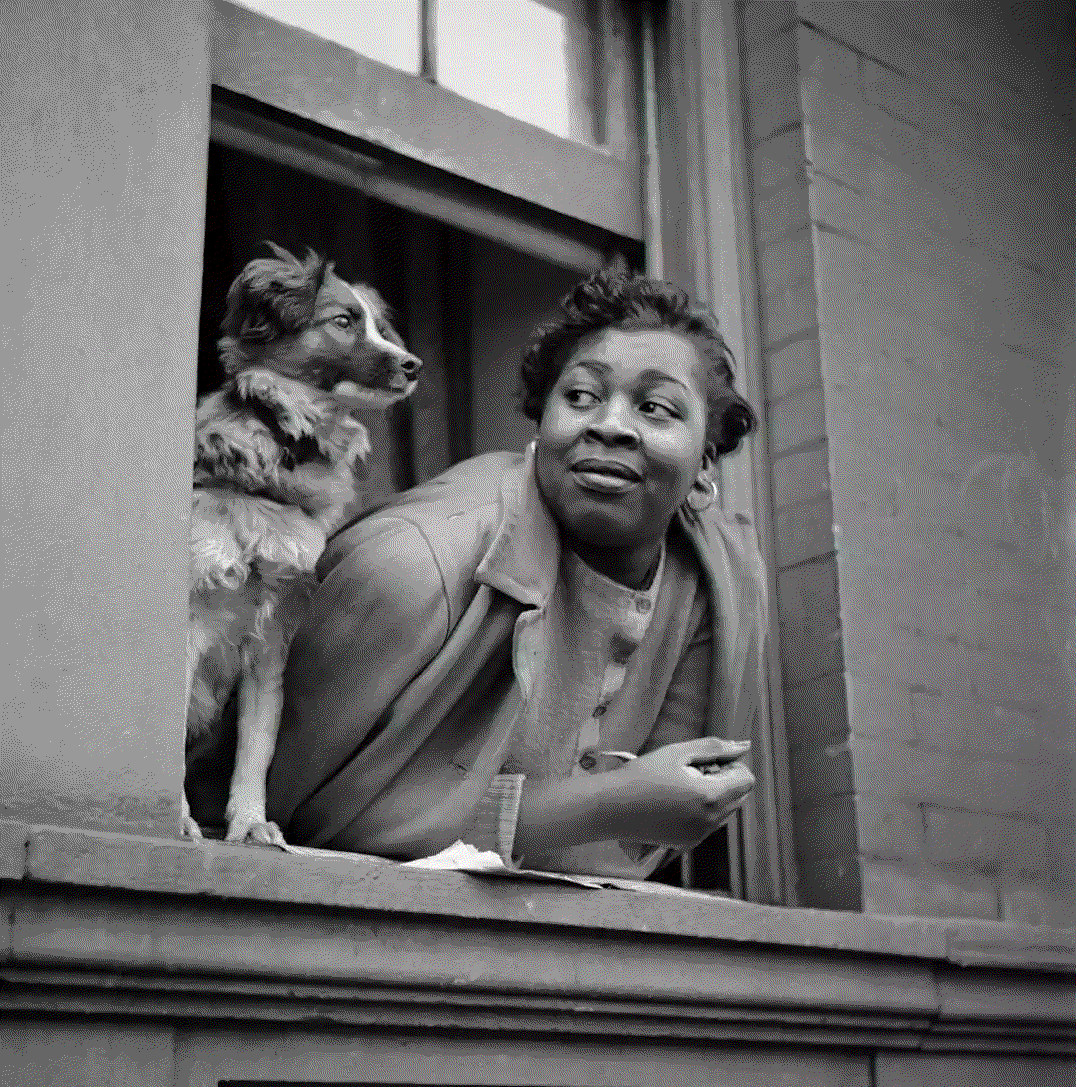 Gordon Parks, Woman and Dog in Window, Harlem, New York, 1943