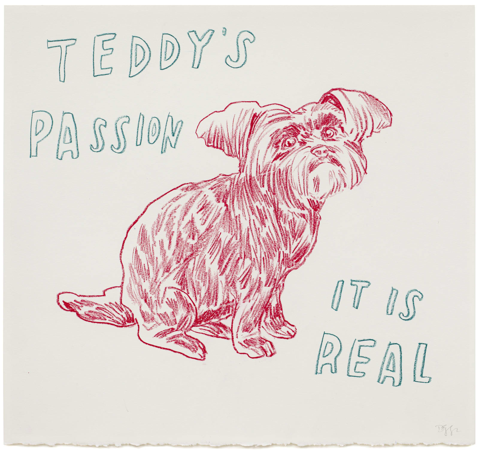 Dave Eggers, Teddy's Passion - It Is Real, 2020