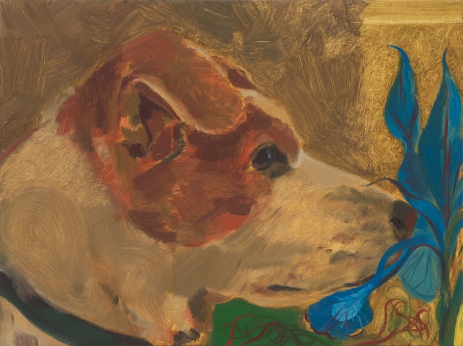 Anthony Cudahy, Seneca and iris, 2024