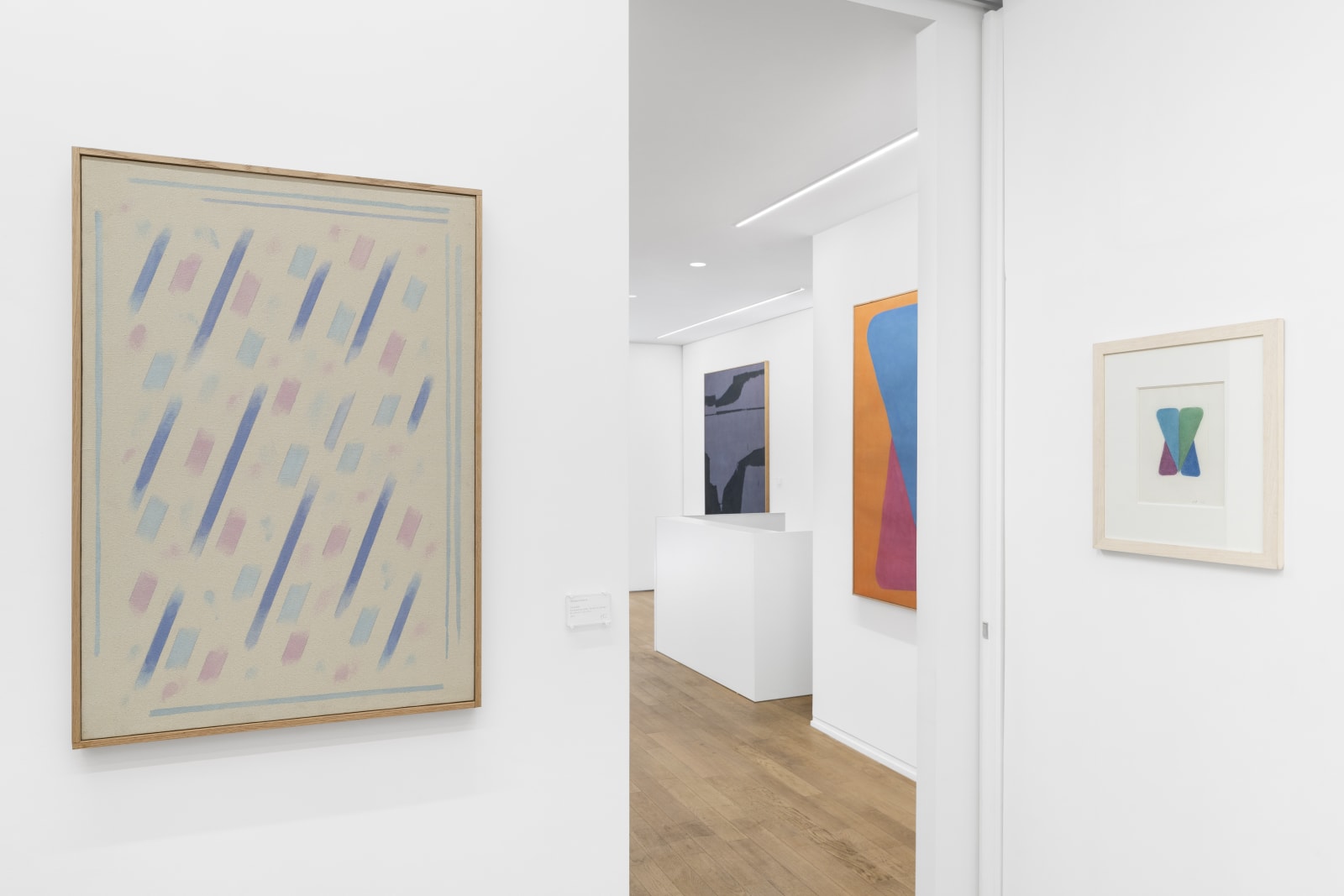 Vue de l'exposition, Charles Pollock, un siècle américain, ©Nicolas Brasseur