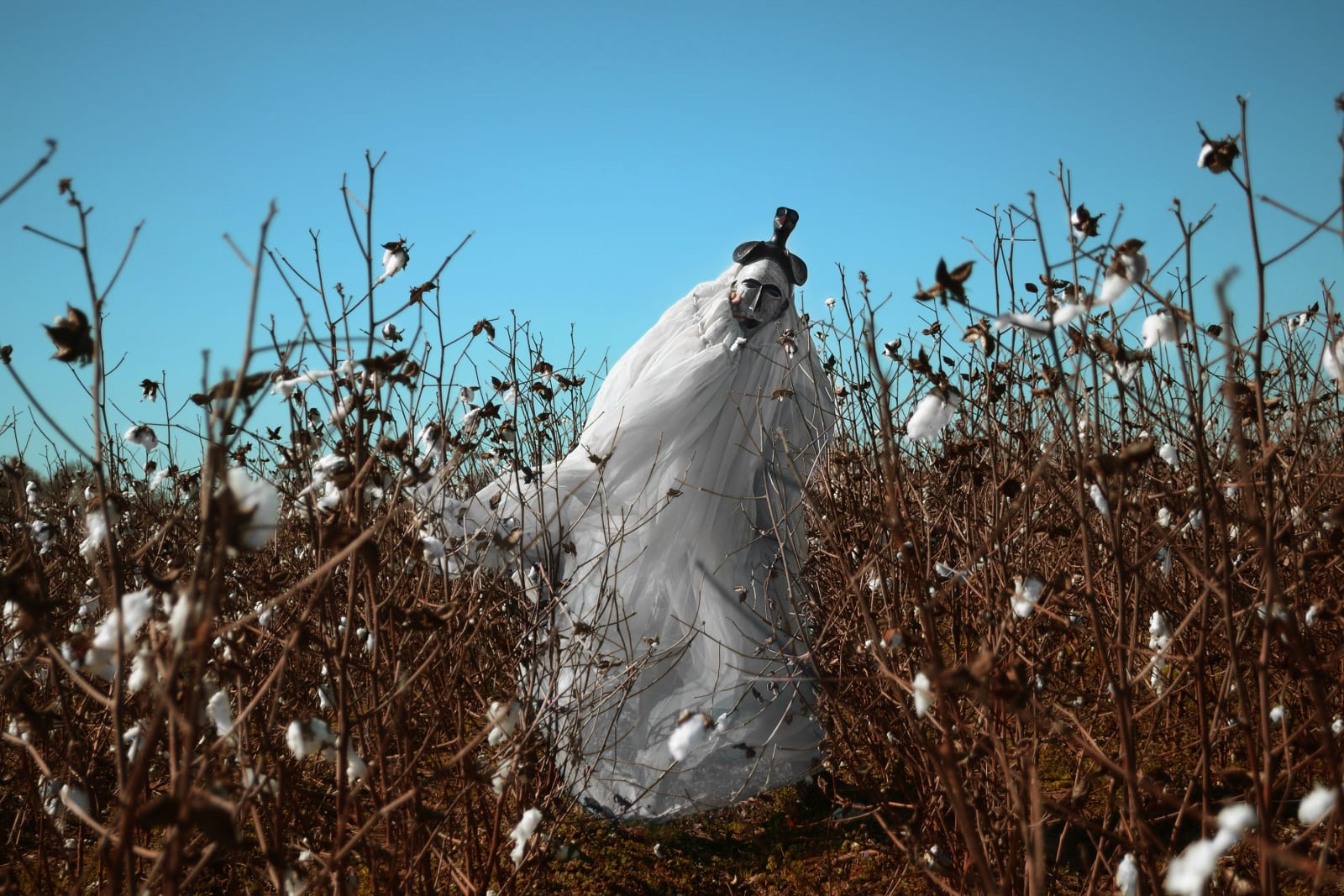 Lisandro Suriel, Cotton Jinn, 2020