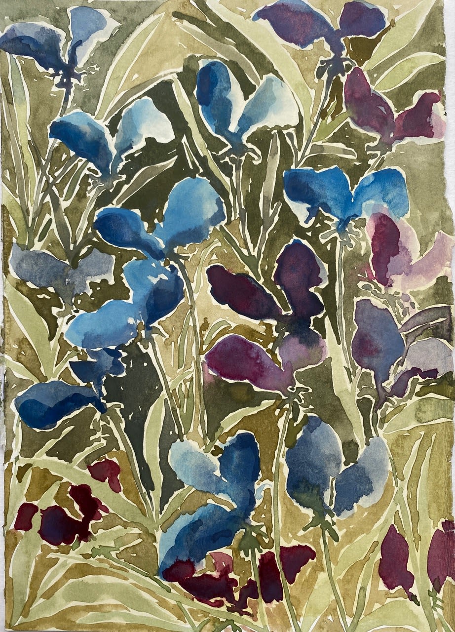 Beatrice Hasell-McCosh , Blue Sweet Peas, 2025