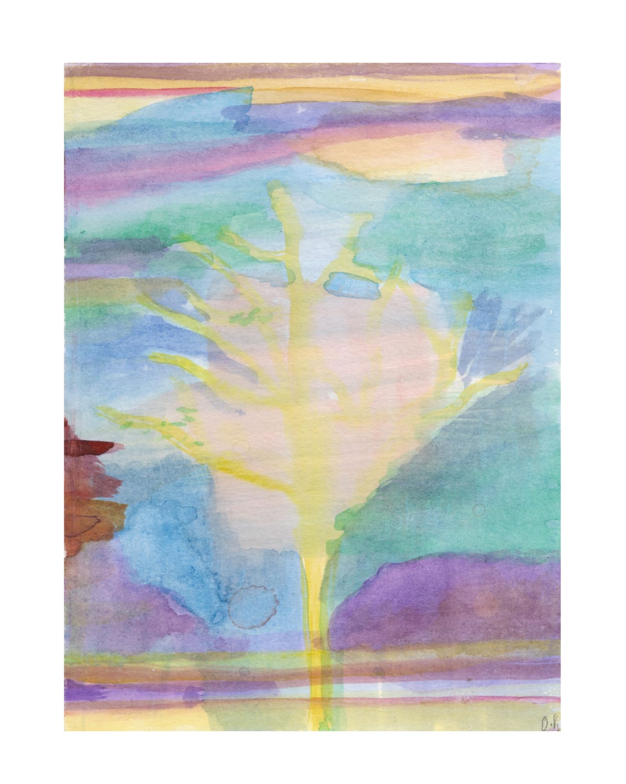 Orla Kane , Another Tree , 2020