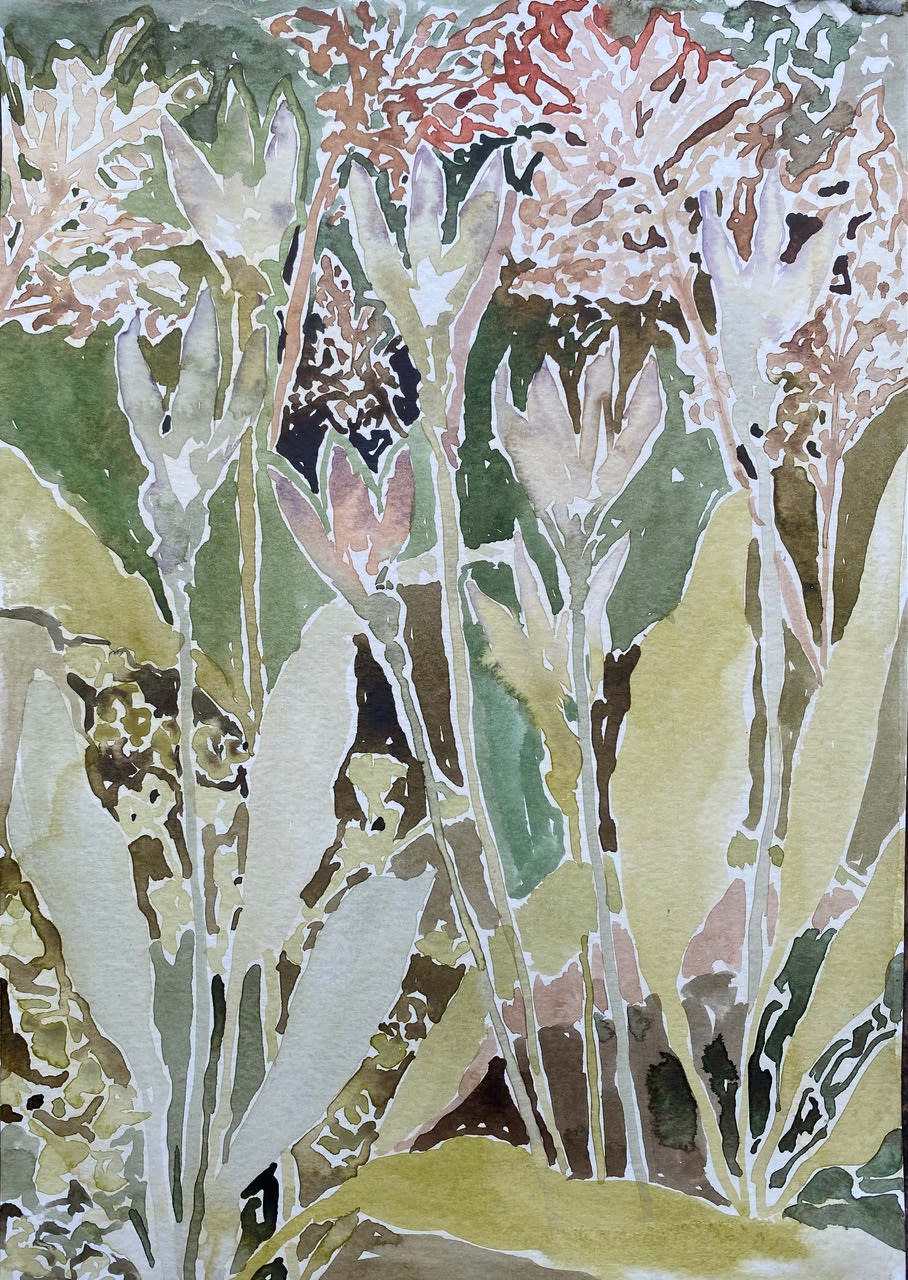 Beatrice Hasell-McCosh , Crocus (Kew), 2025