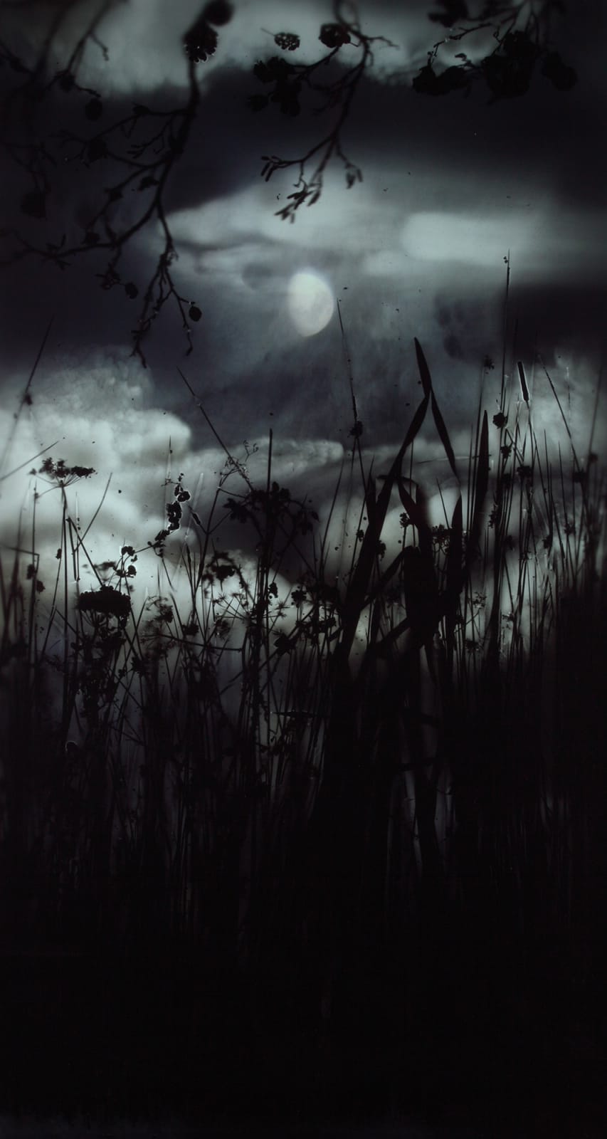 Gibbous Moon Reeds Cloud, 2009