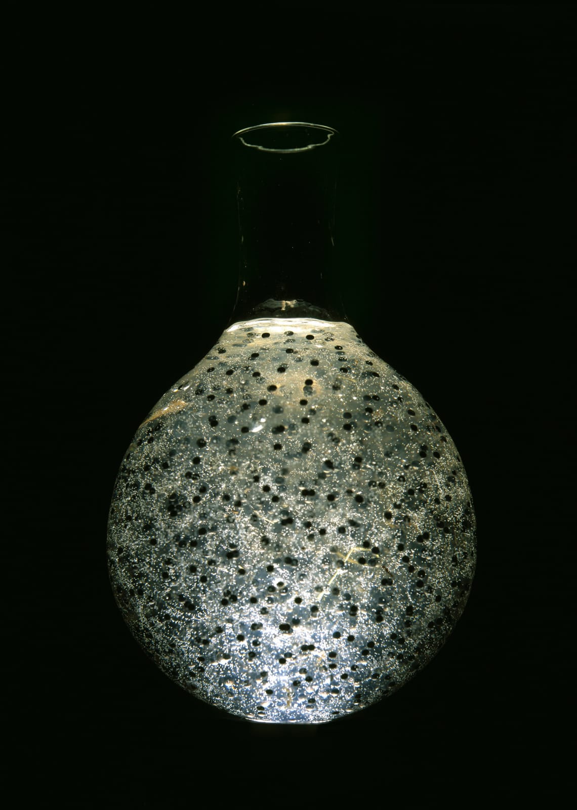 Natural Magic, Vessel 2, 2001