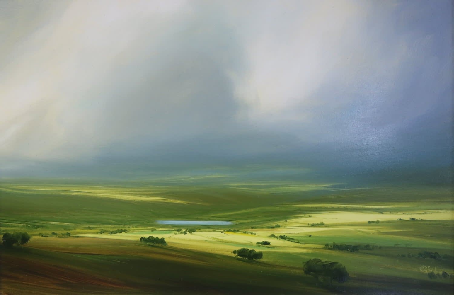 Harry Brioche , Striking Light , 2020