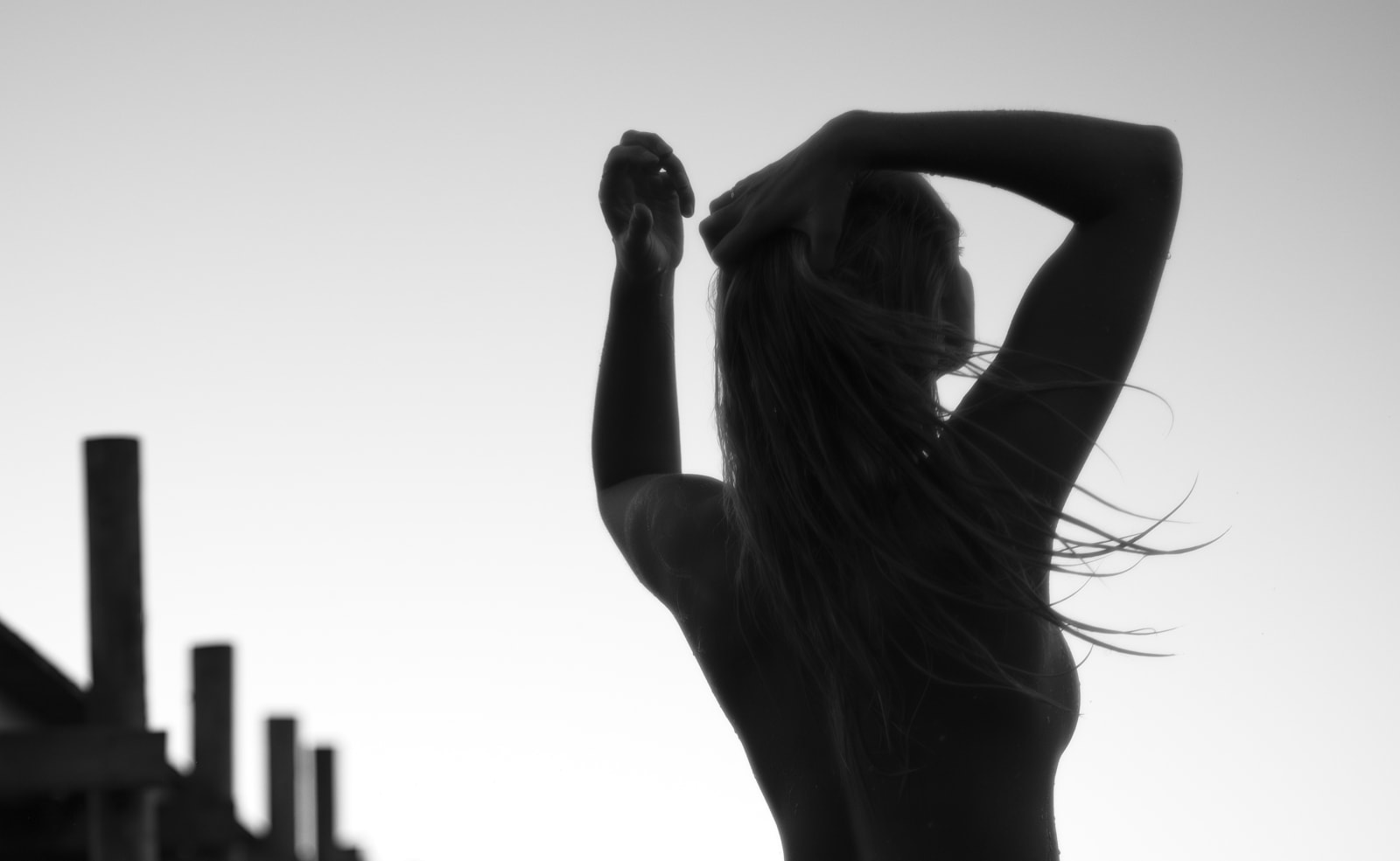 Halldin+Maule, Viktoria 6