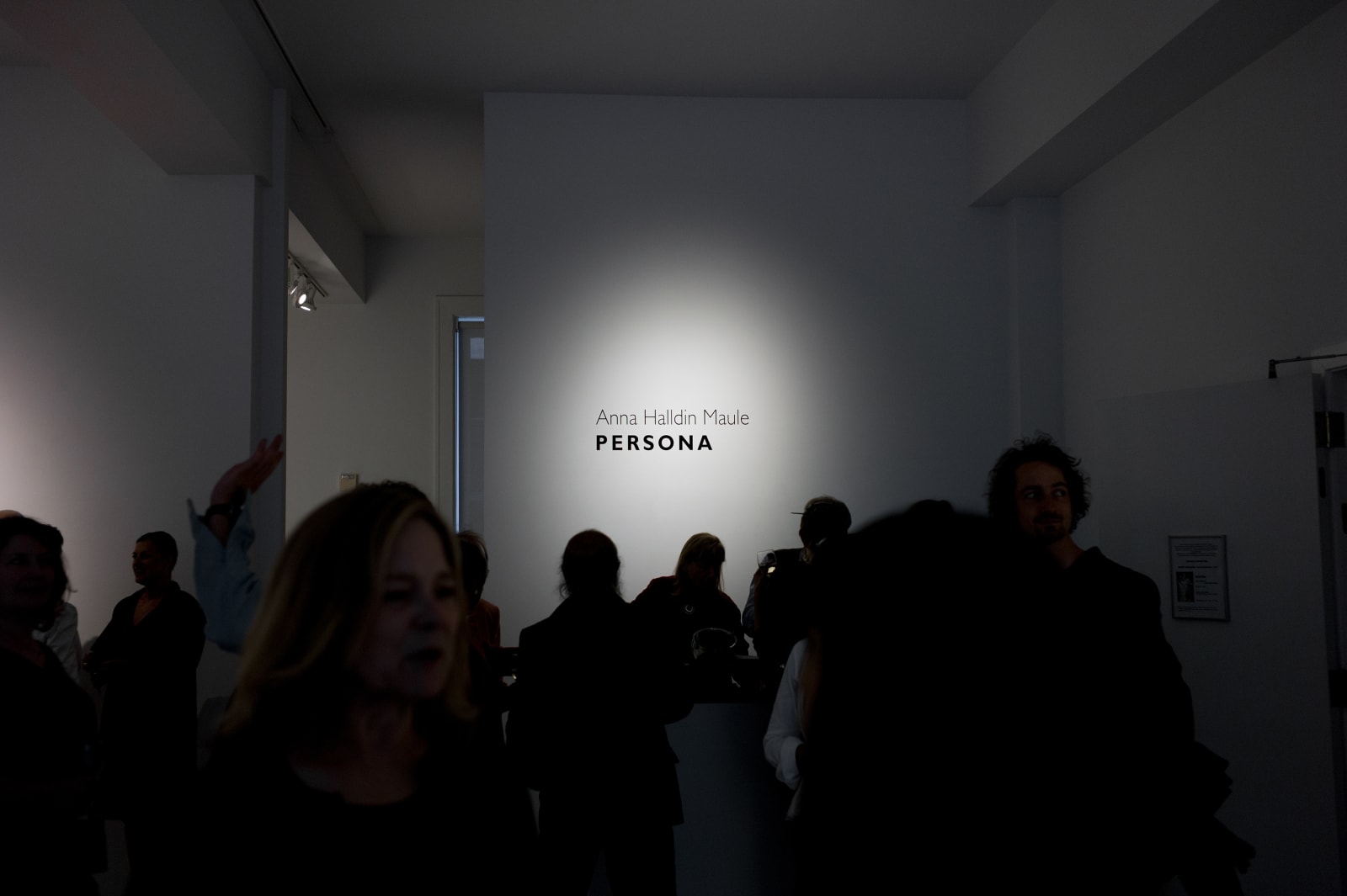 Anna Halldin Maule, Persona — Solo Exhibition, 2014