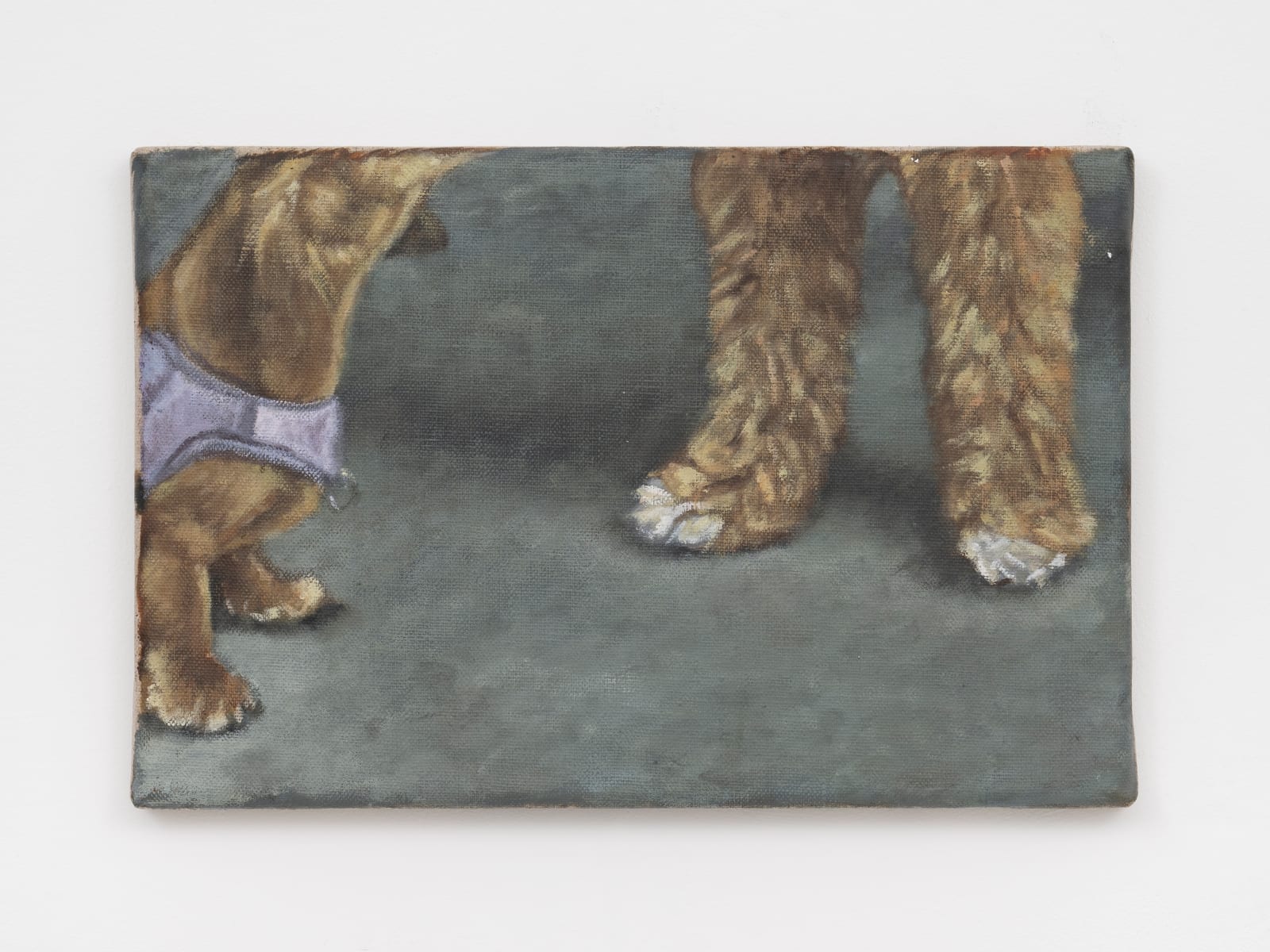 Issy Wood, Manhattan dog study , 2024