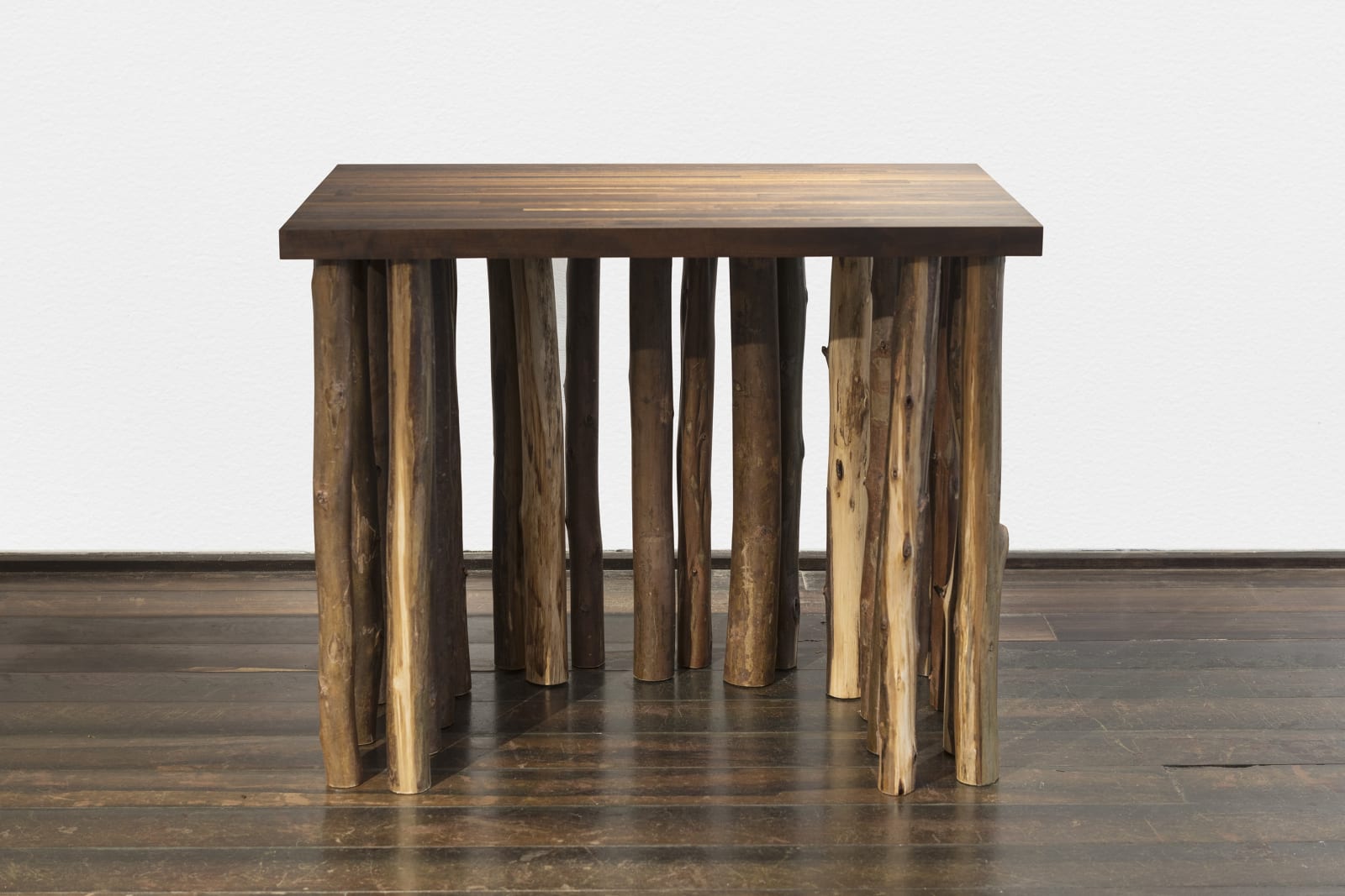 Jimmie Durham - LABINAC, Forest table, 2018