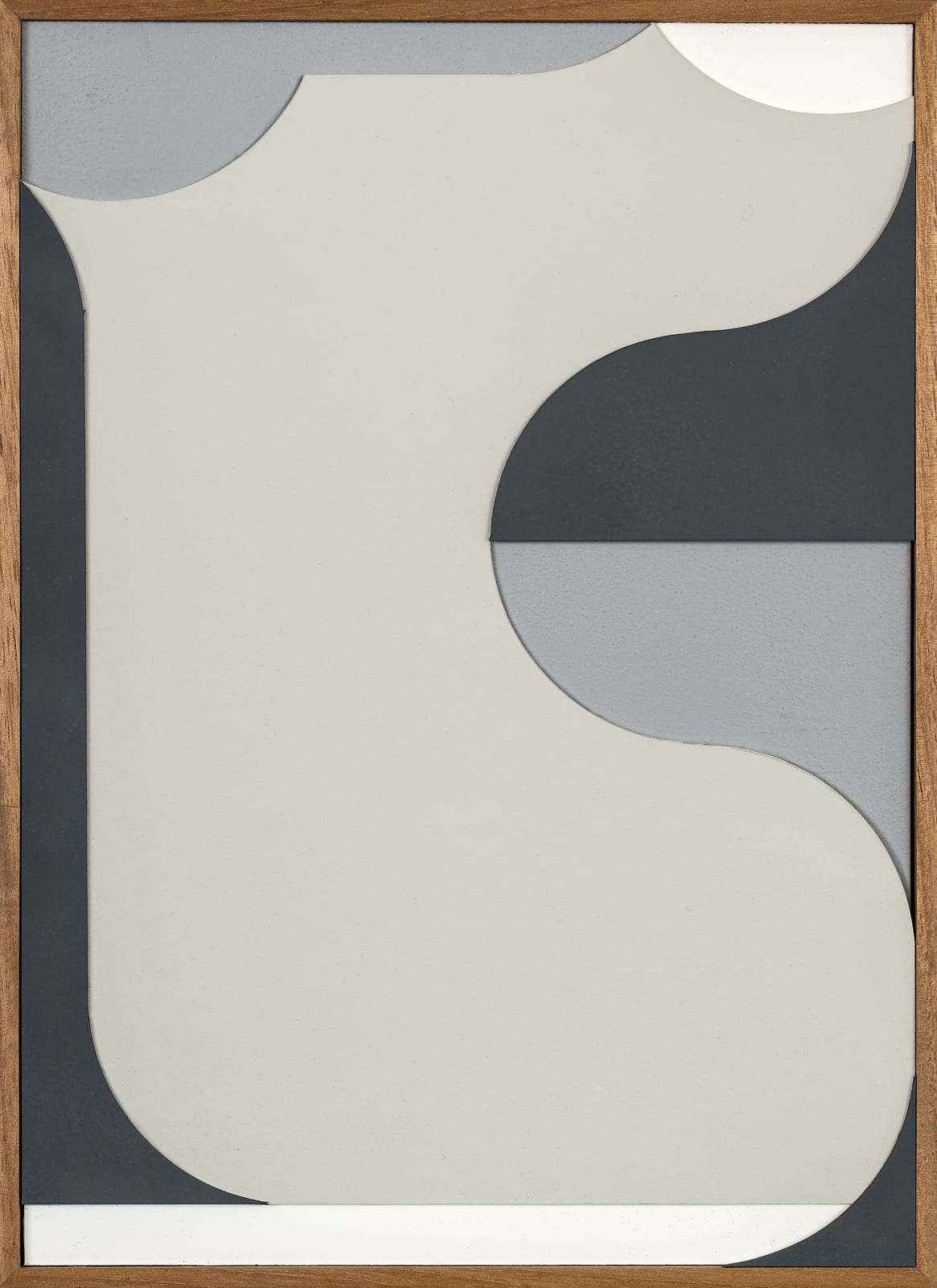 Felipe Cohen, Relevo #2, from the Pálpebras series, 2024