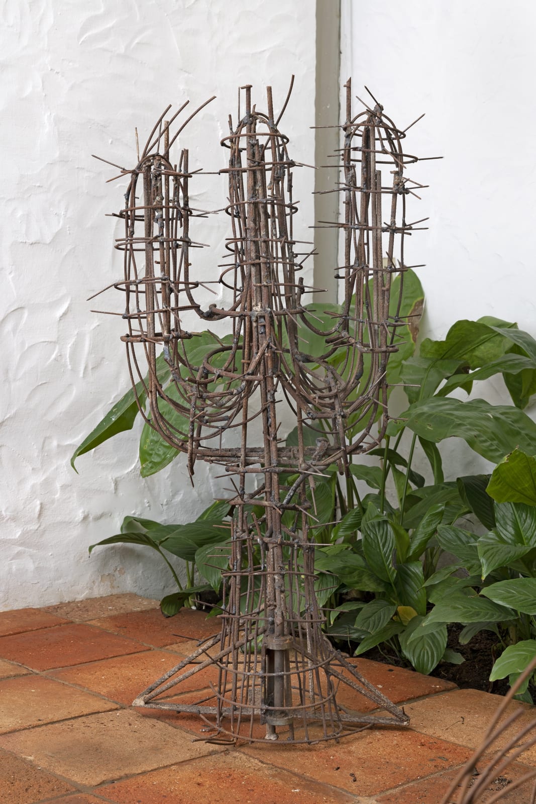 Jayme Figura, Untitled, s.d.