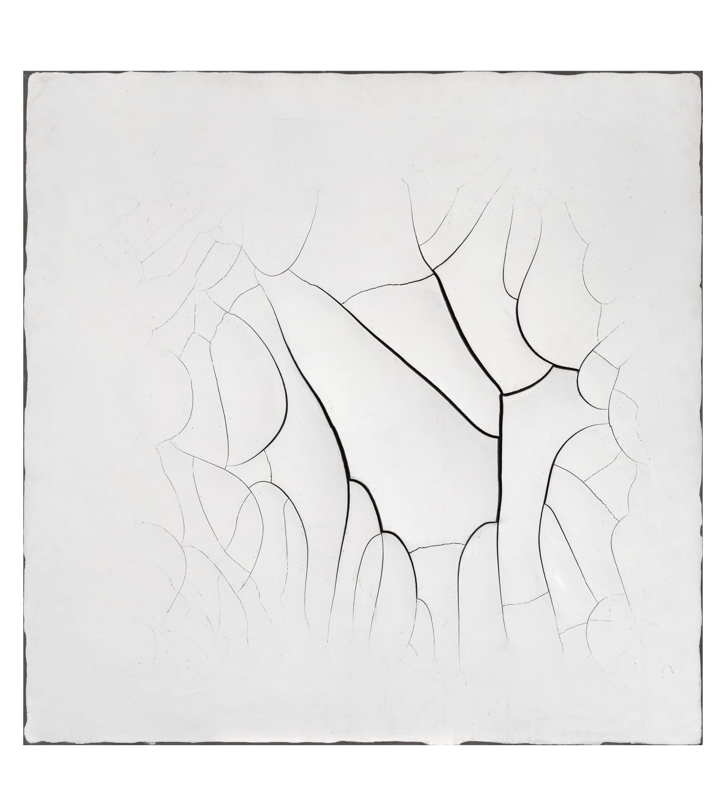 Adriana Varejão, White monochrome #17, 2000