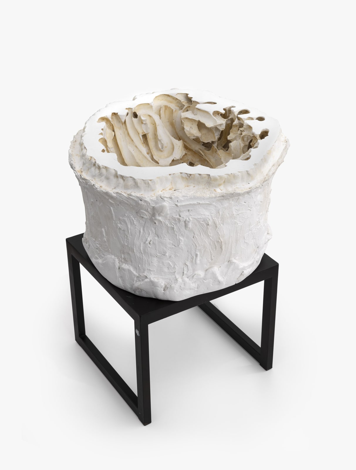 Anna Maria Maiolino, Untitled, 2014