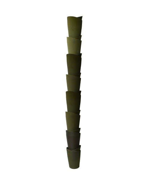 Kimi Nii, Palm Tree Column, 2007